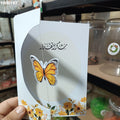 توزيعة شهادة تقدير  كود منتج 1000187