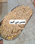 عدس بني كبير
