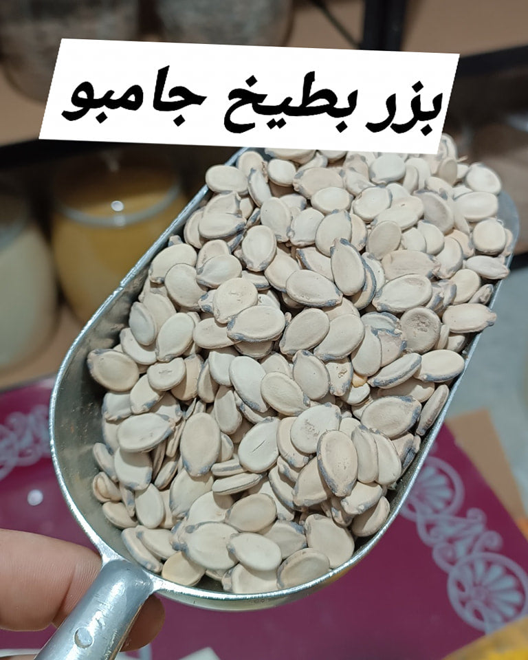 بزر بطيخ جامبو حبة كبيرة