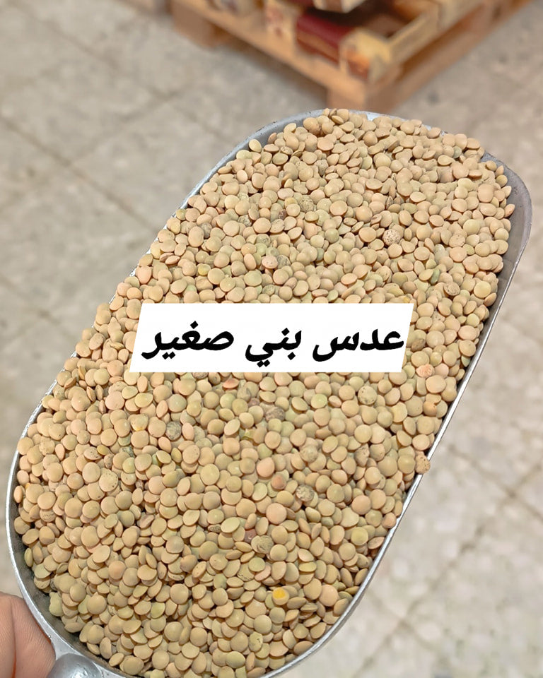 عدس بني صغير