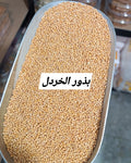 بذور خردل اصفر