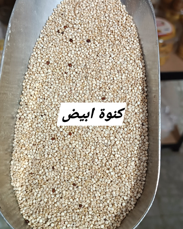 كينوا بني (Copy)