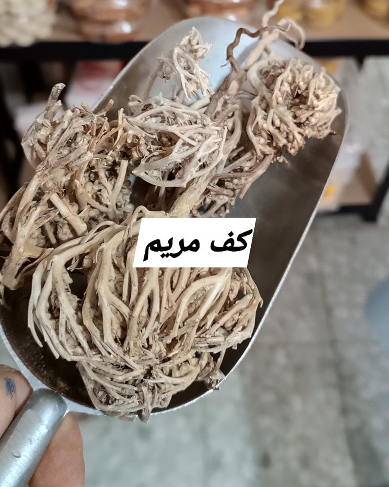 كف مريم