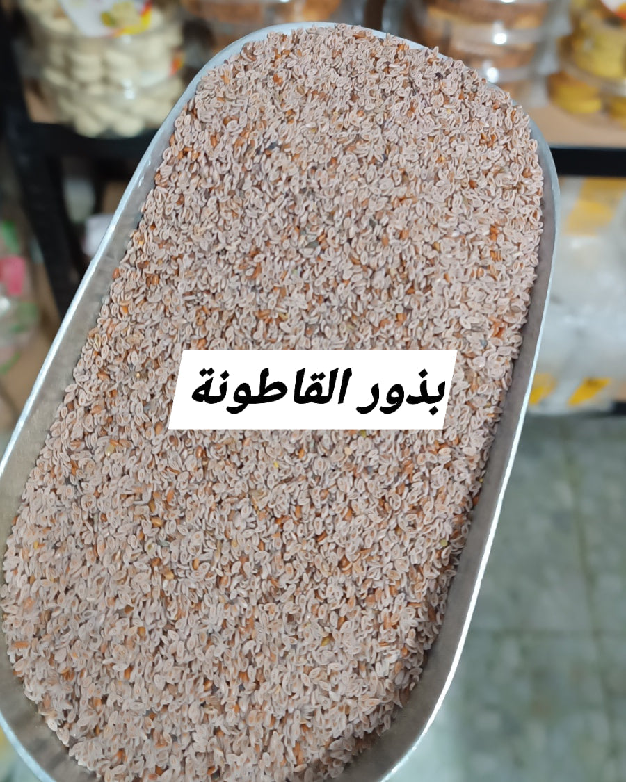بذور القاطونة