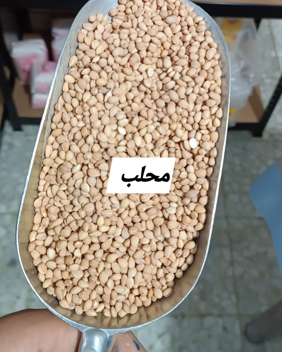 محلب