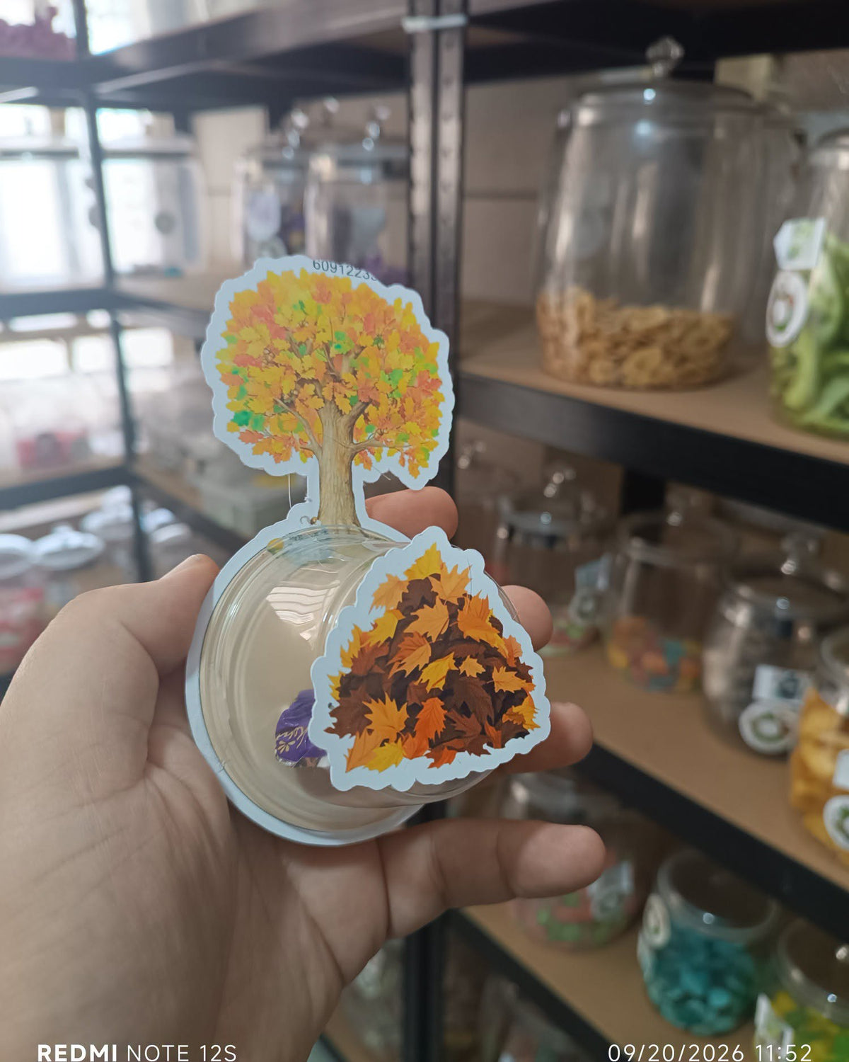 توزيعة