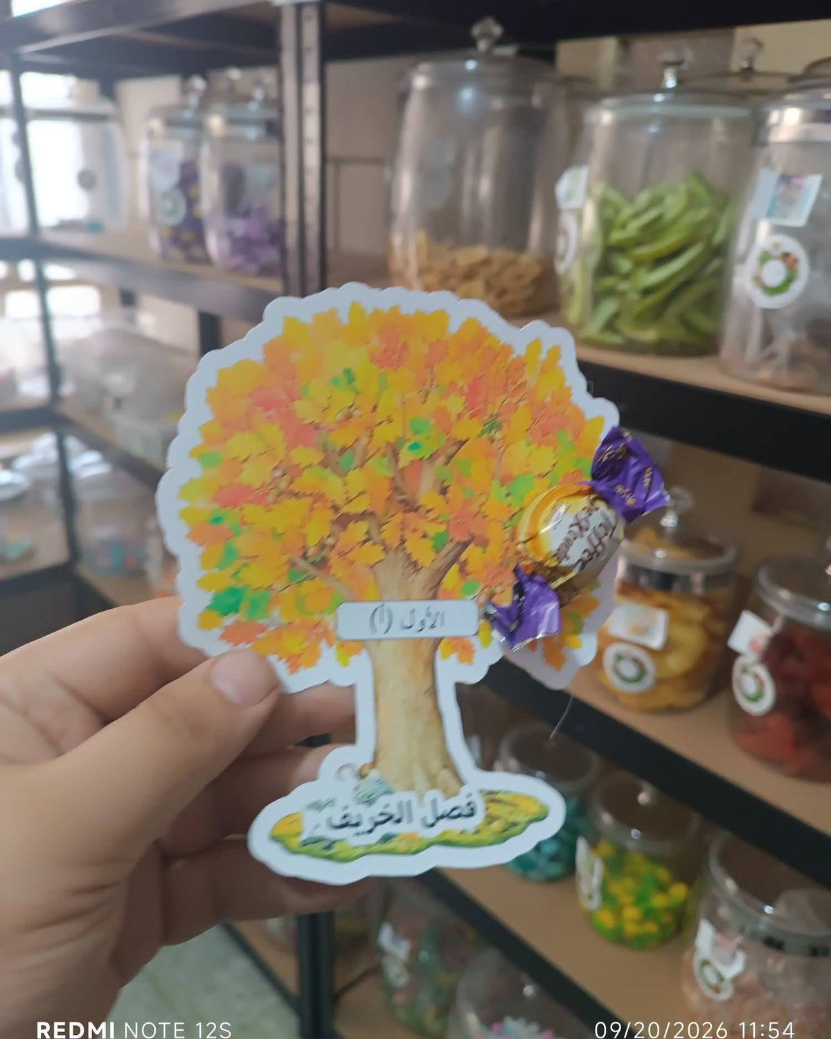 توزيعة