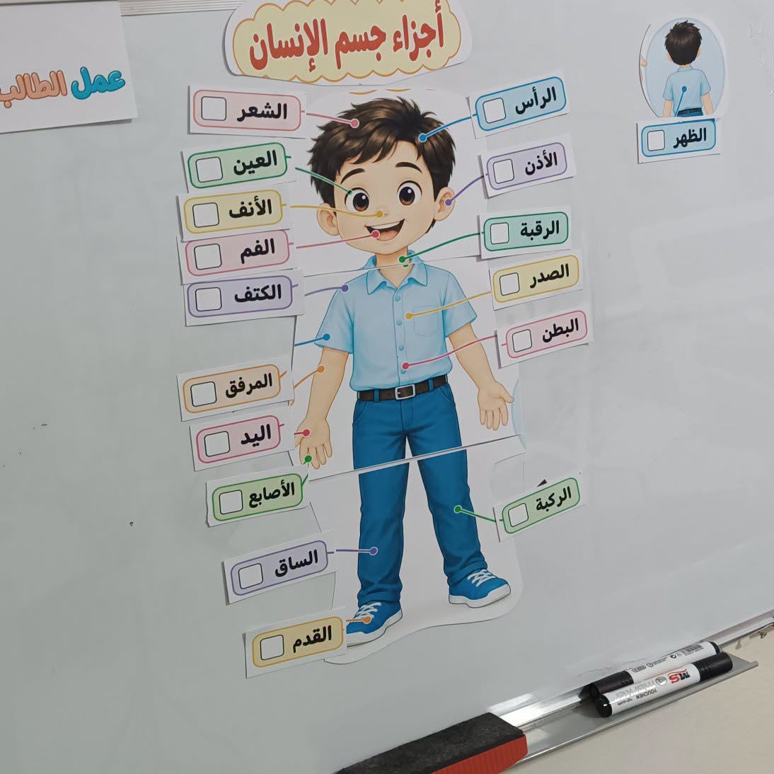 تعليمي