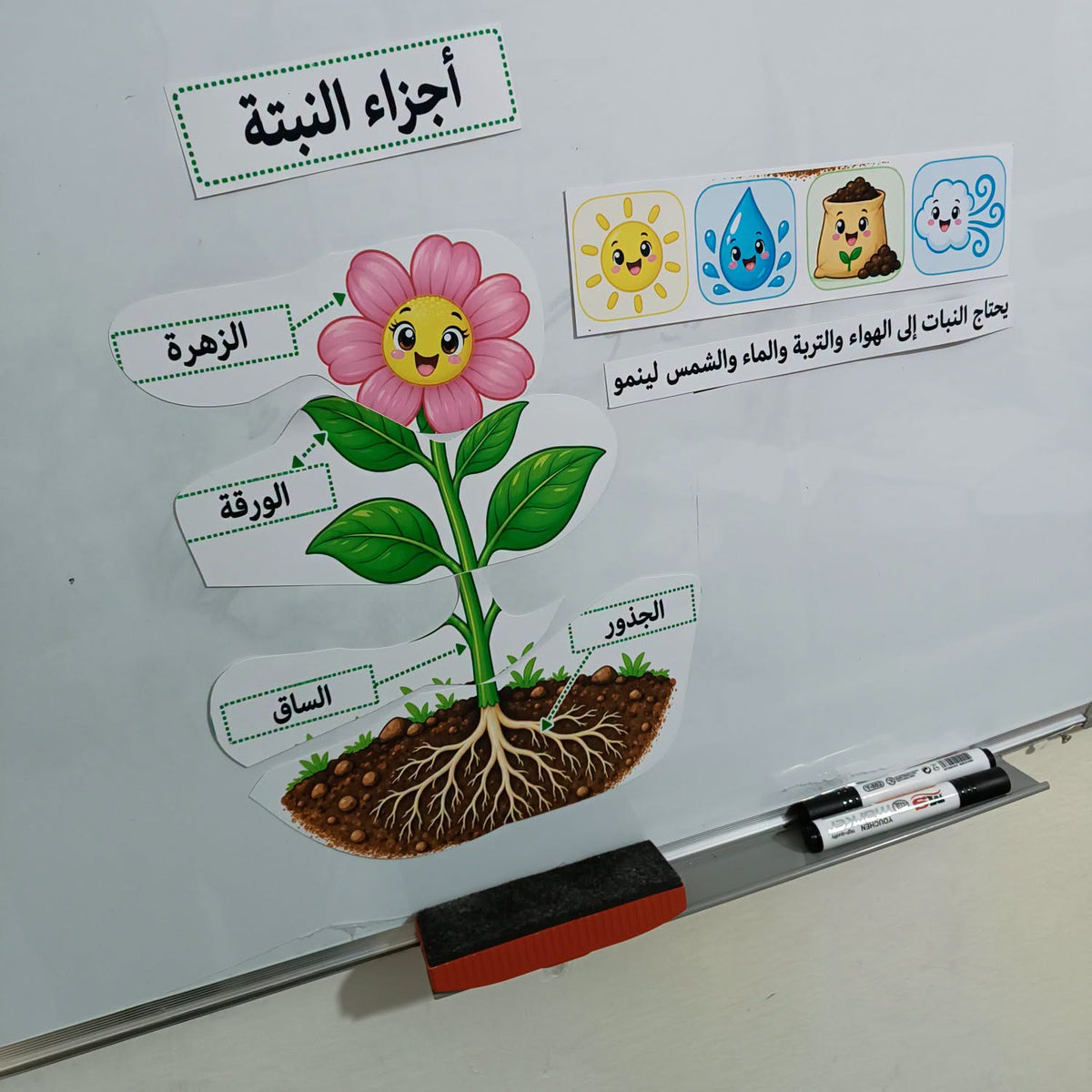 تعليمي