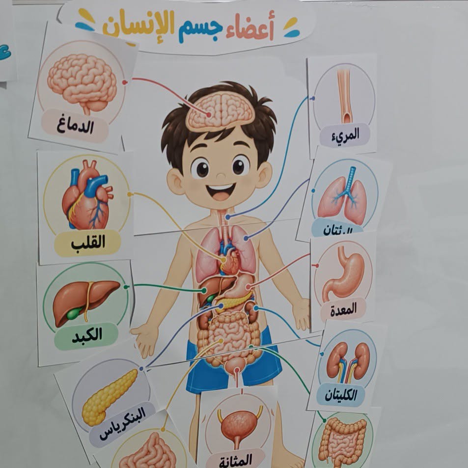 تعليمي