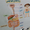تعليمي