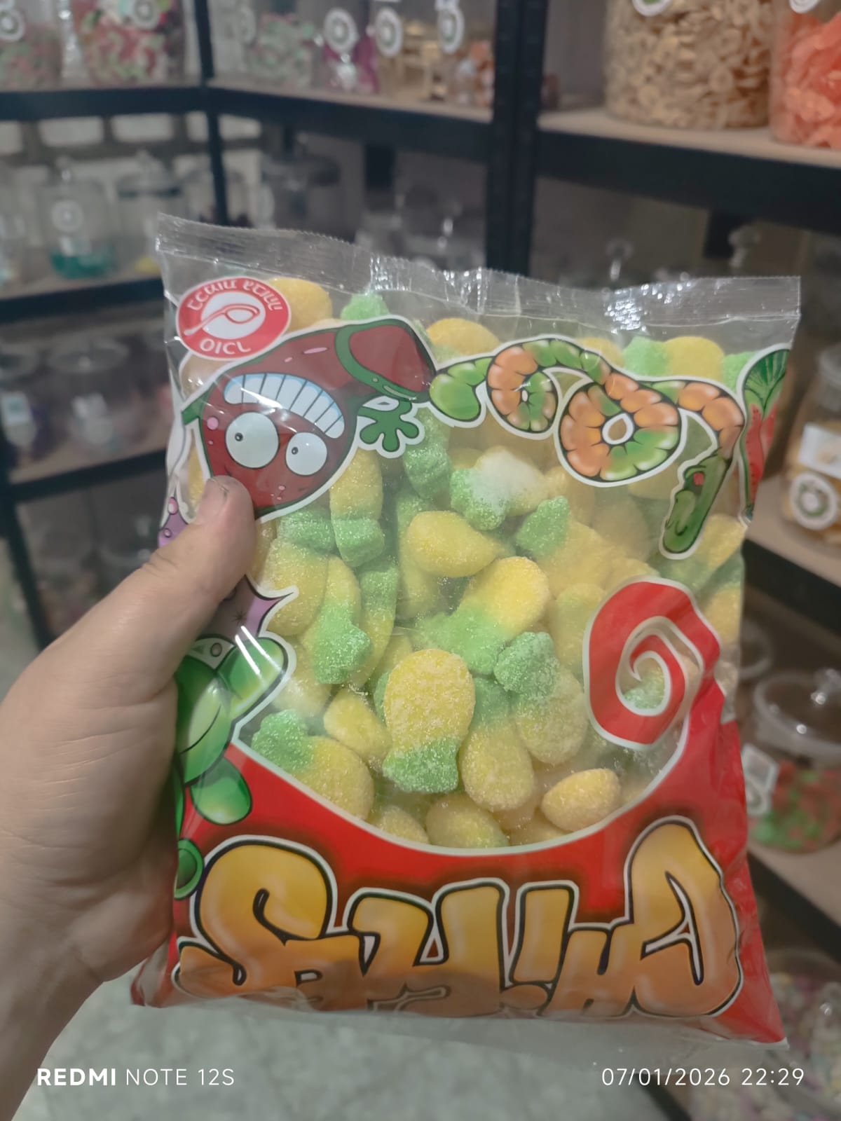 جومي قطاميط جلود  اسباني اصلي